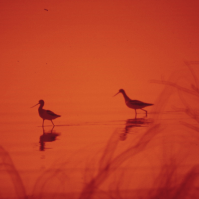 L’arte della connessione